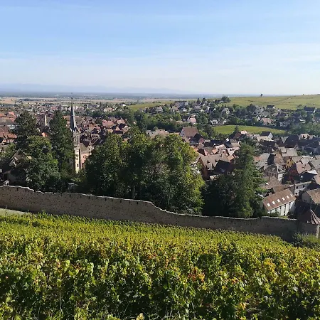 A La Cour De Avec Garage アパート リボーヴィレ